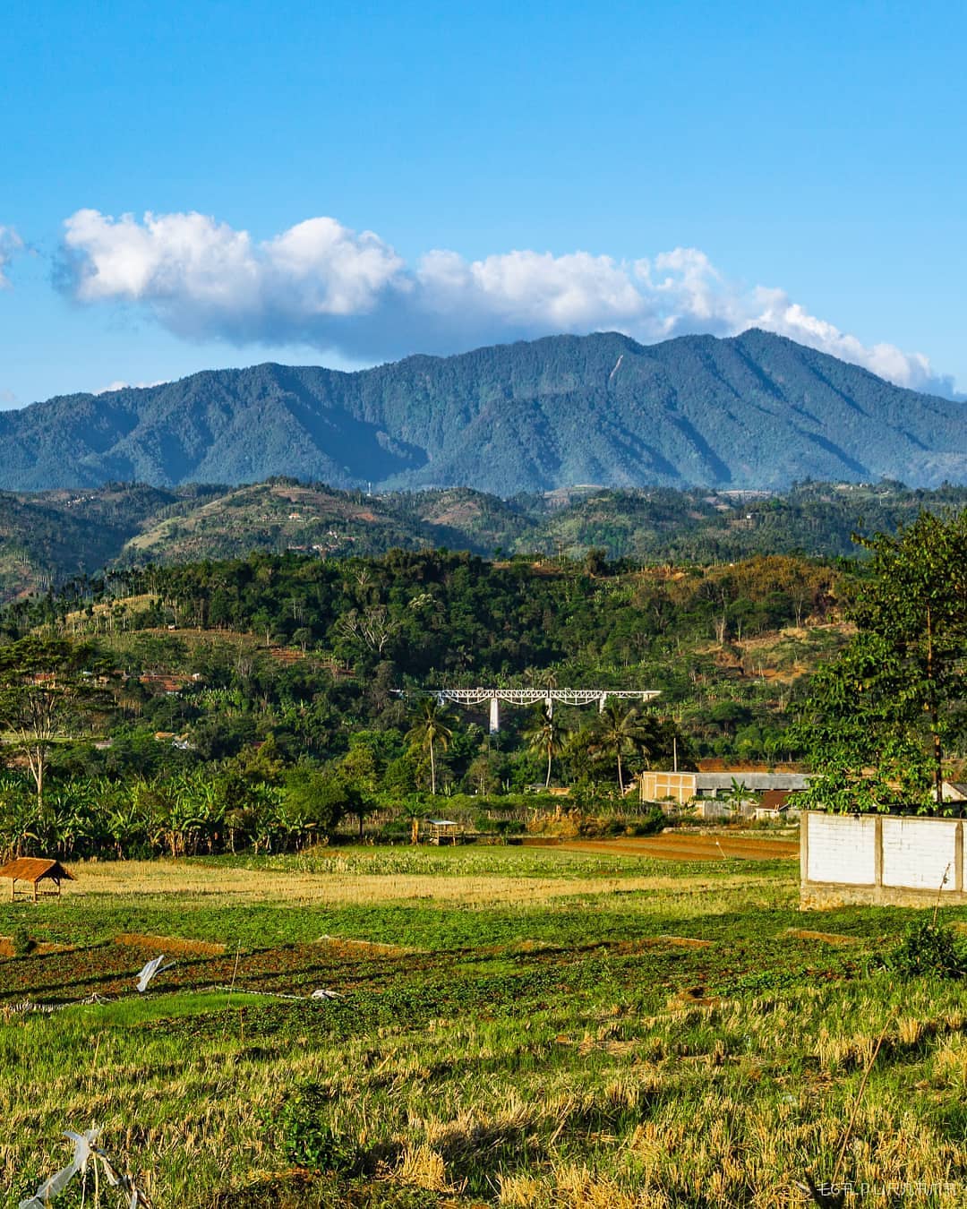 BURANGRANG MOUNT 