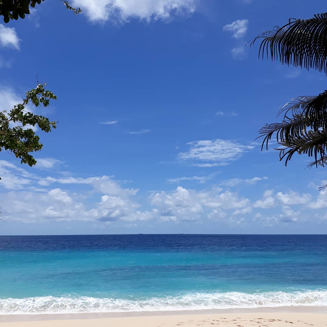 PAAL BEACH 