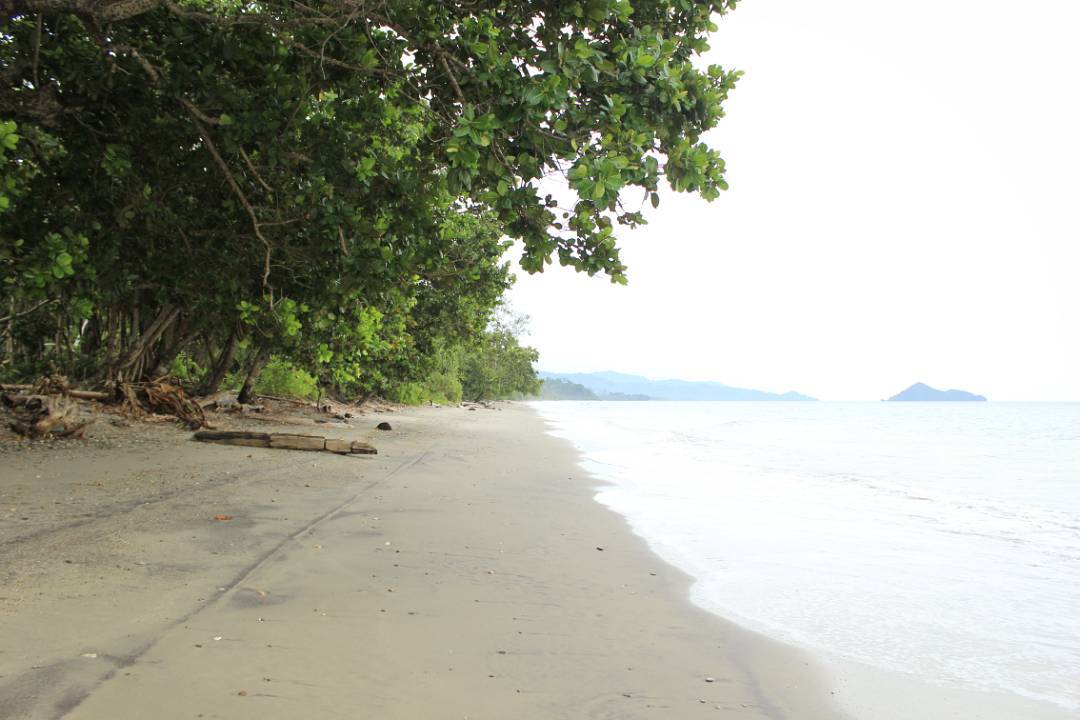 WAMSOBA BEACH 