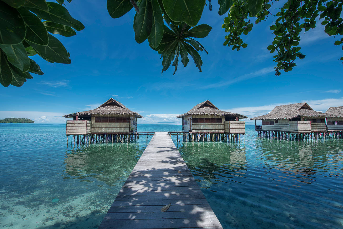 Liburan ala Maldives? Papua Paradise Eco Resort Solusinya!